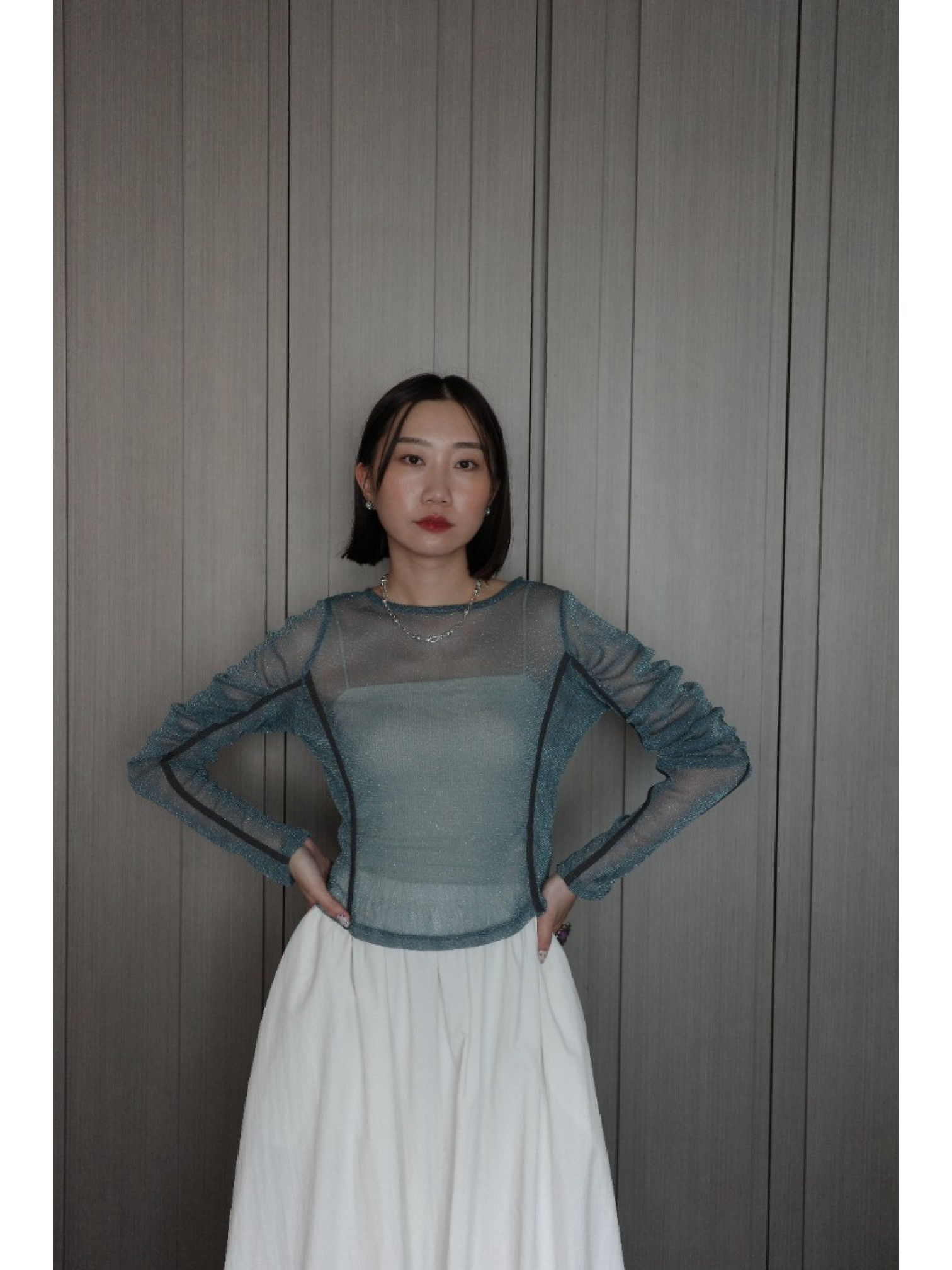 🇯🇵亮線薄紗泡泡袖透膚上衣/三色