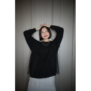 🇯🇵多層次薄紗針織上衣/三色