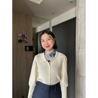 🇯🇵公主袖翻領針織上衣/兩色