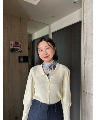 🇯🇵公主袖翻領針織上衣/兩色