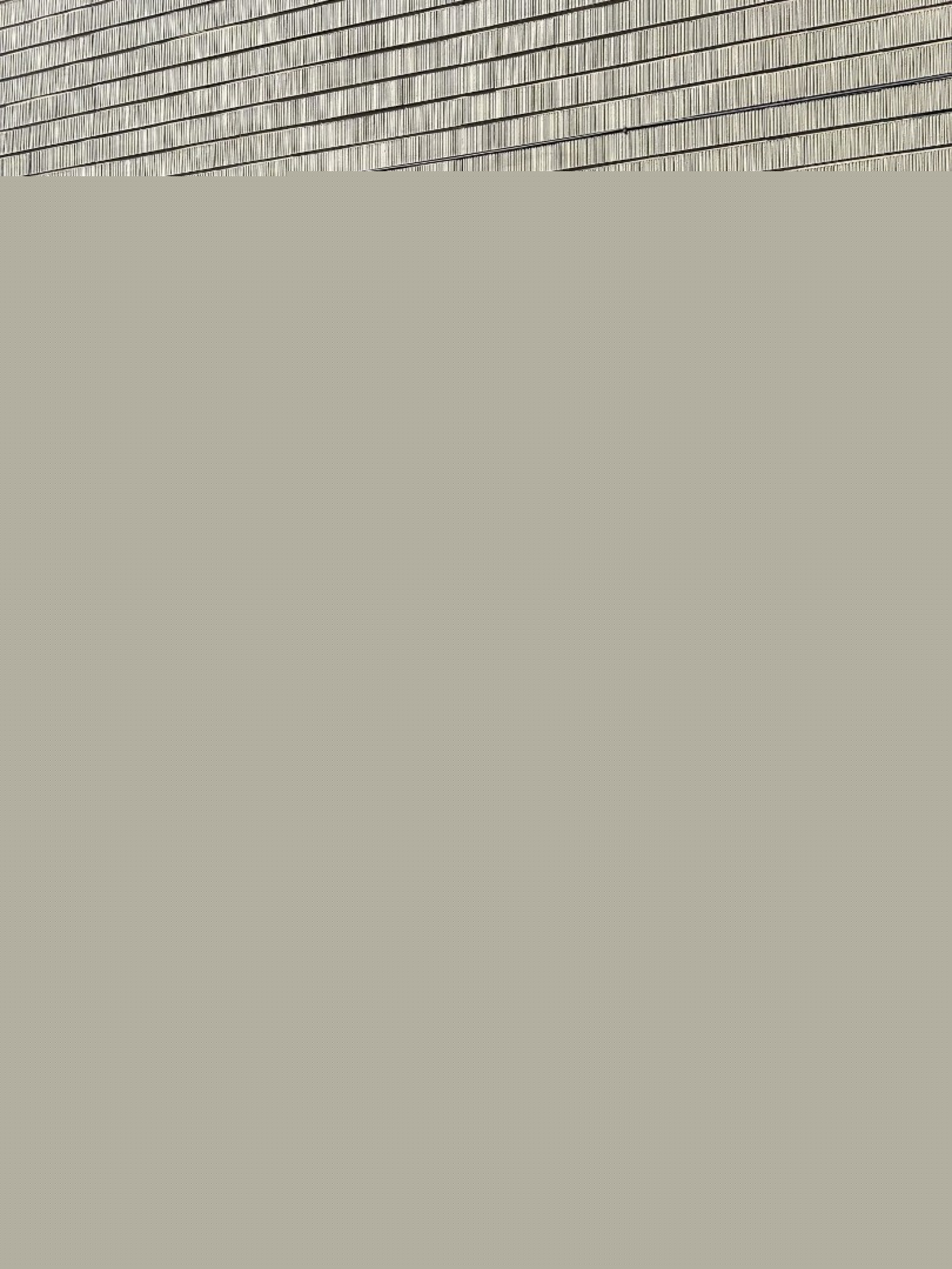 🇯🇵坑條雙拉鍊連帽上衣/三色